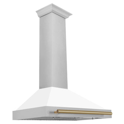 ZLINE 48" Autograph Stainless Wall Range Hood KB4SNZ-WM48-CB